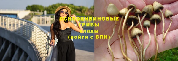 дмт Пересвет